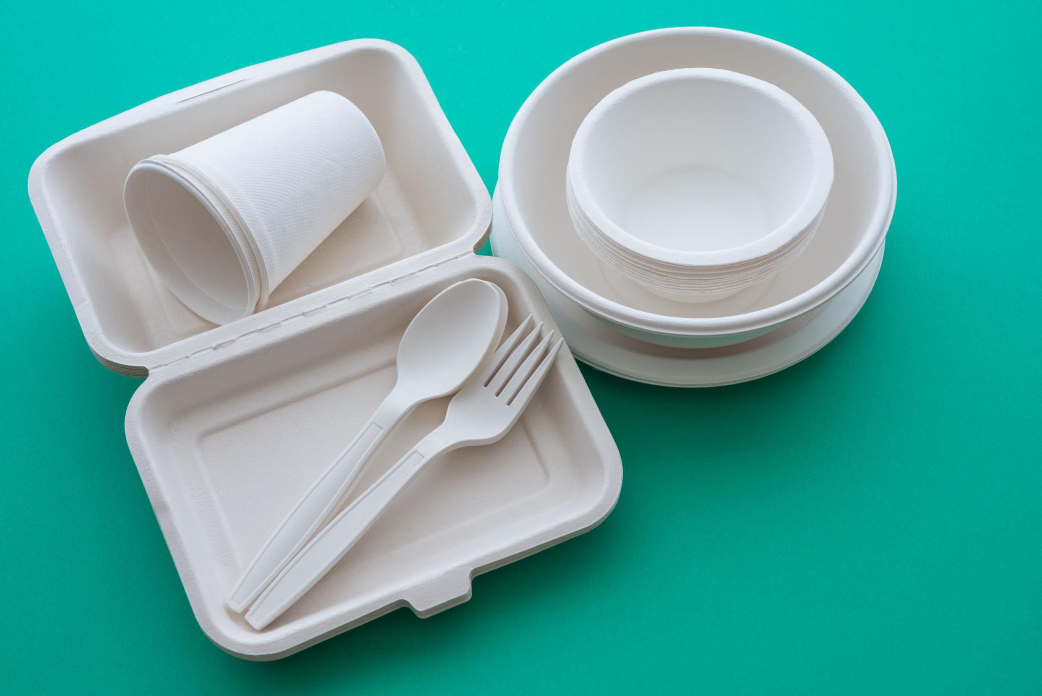 The Impact of Using Sustainable Bagasse Products in Our Daily Lives